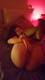 Private Photo of LOVELYGINA90